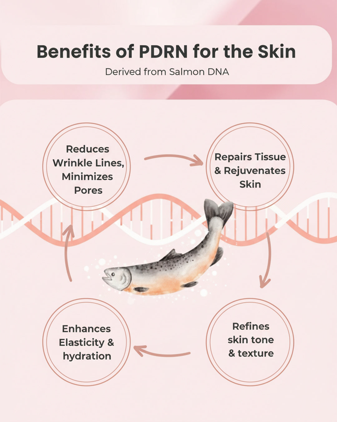 Infographic highlighting benefits of PDRN for the skin, derived from Salmon DNA, including hydration and tissue repair.{STARDUST Illuminating Serum Skincare Bundle Set]